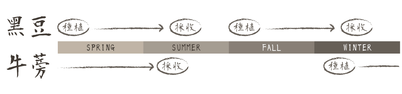 詠心有機黑豆牛蒡栽種過程